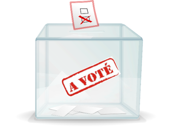 Elections professionnelles :  rappels sur les modalités de dépôt des listes
